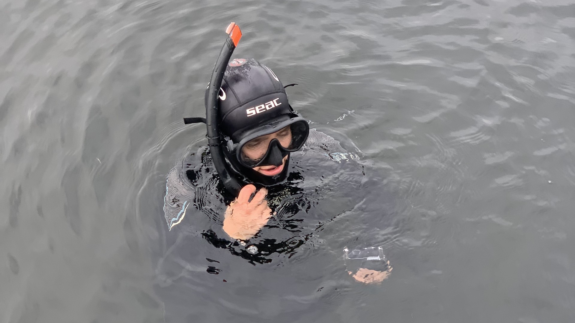 Nathalie collected the moss animals in Danish waters herself.