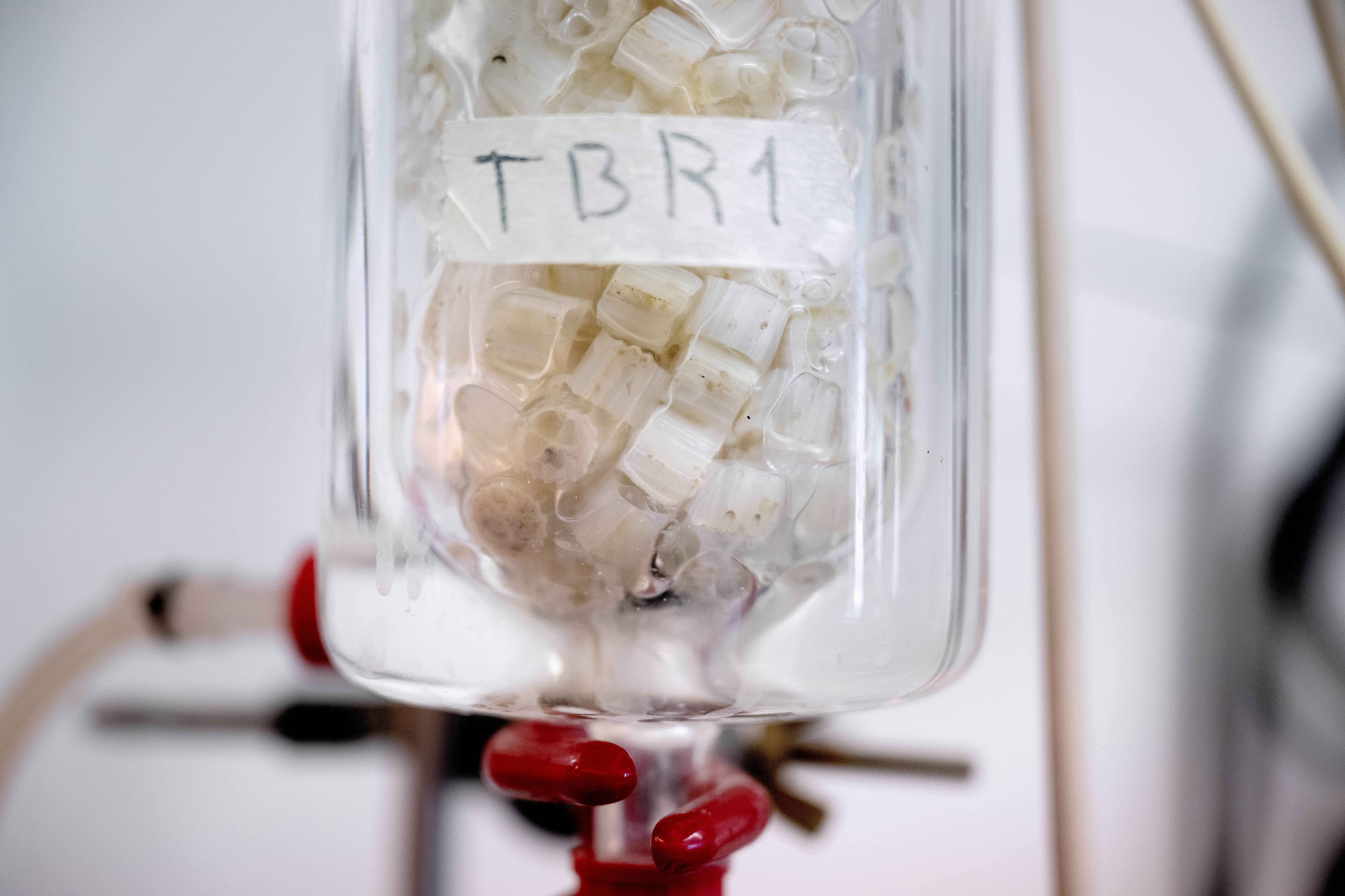 Nærbillede af en glasbeholder med tætpakket plastikmateriale inden i.