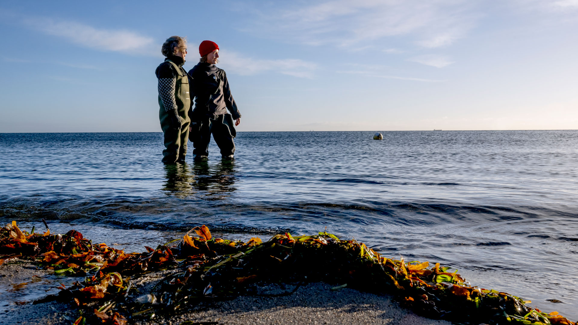 Professor Lone Gram og postdoc Nathalie Suhr Eiris Henriksen er begge mikrobiologer og optaget af at forstå mikrobernes rolle i Jordens øko- og klimasystemer. ©Bax Lindhardt Professor Lone Gram og postdoc Nathalie Suhr Eiris Henriksen er begge mikrobiologer og optaget af at forstå mikrobernes rolle i Jordens øko- og klimasystemer.