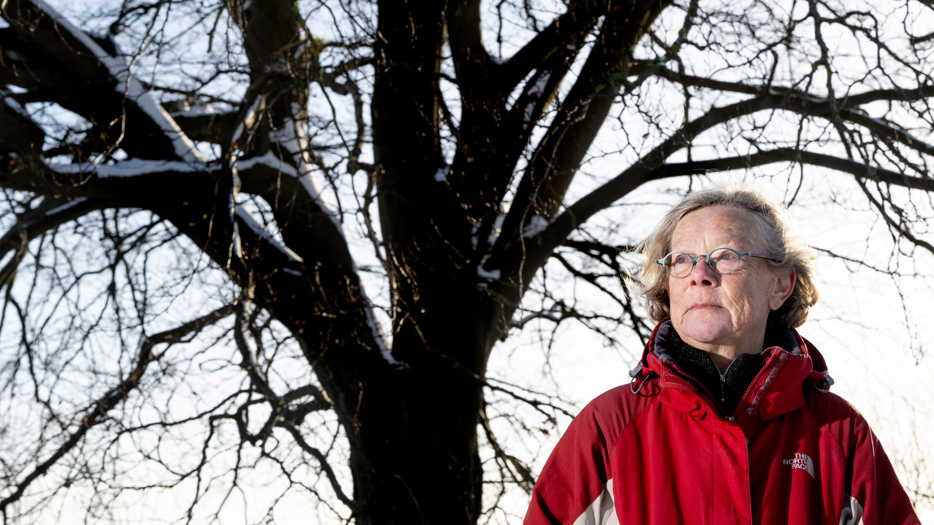 Professor Lone Gram er optaget af bakteriers kommunikation. Hun var med på det store videnskabelige havtogt Galathea3 i 2006-07, hvor hun indsamlede en unik samling bakterier, som siden er indgået i flere forskningsprojekter. ©Bax Lindhardt Professor Lone Gram er optaget af bakteriers kommunikation. Hun var med på det store videnskabelige havtogt Galathea3 i 2006-07, hvor hun indsamlede en unik samling bakterier, som siden er indgået i flere forskningsprojekter.