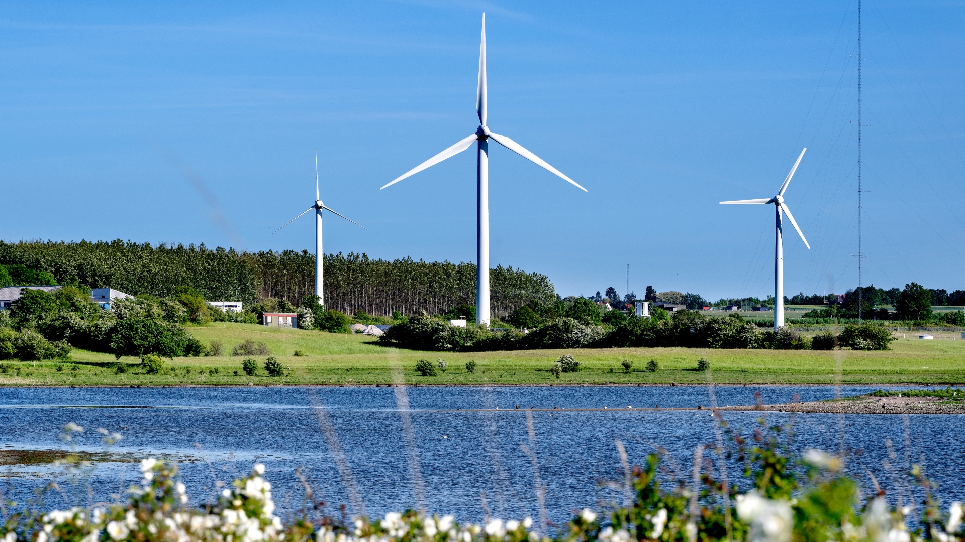 Vindmøller og Roskilde Fjord