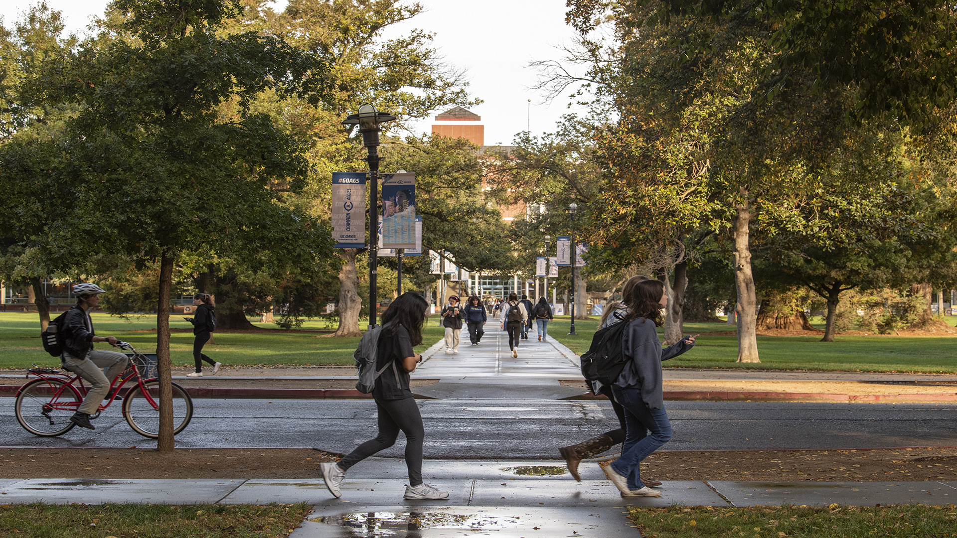 Foto fra UC Davis campusområde