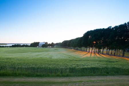 Photo: DTU